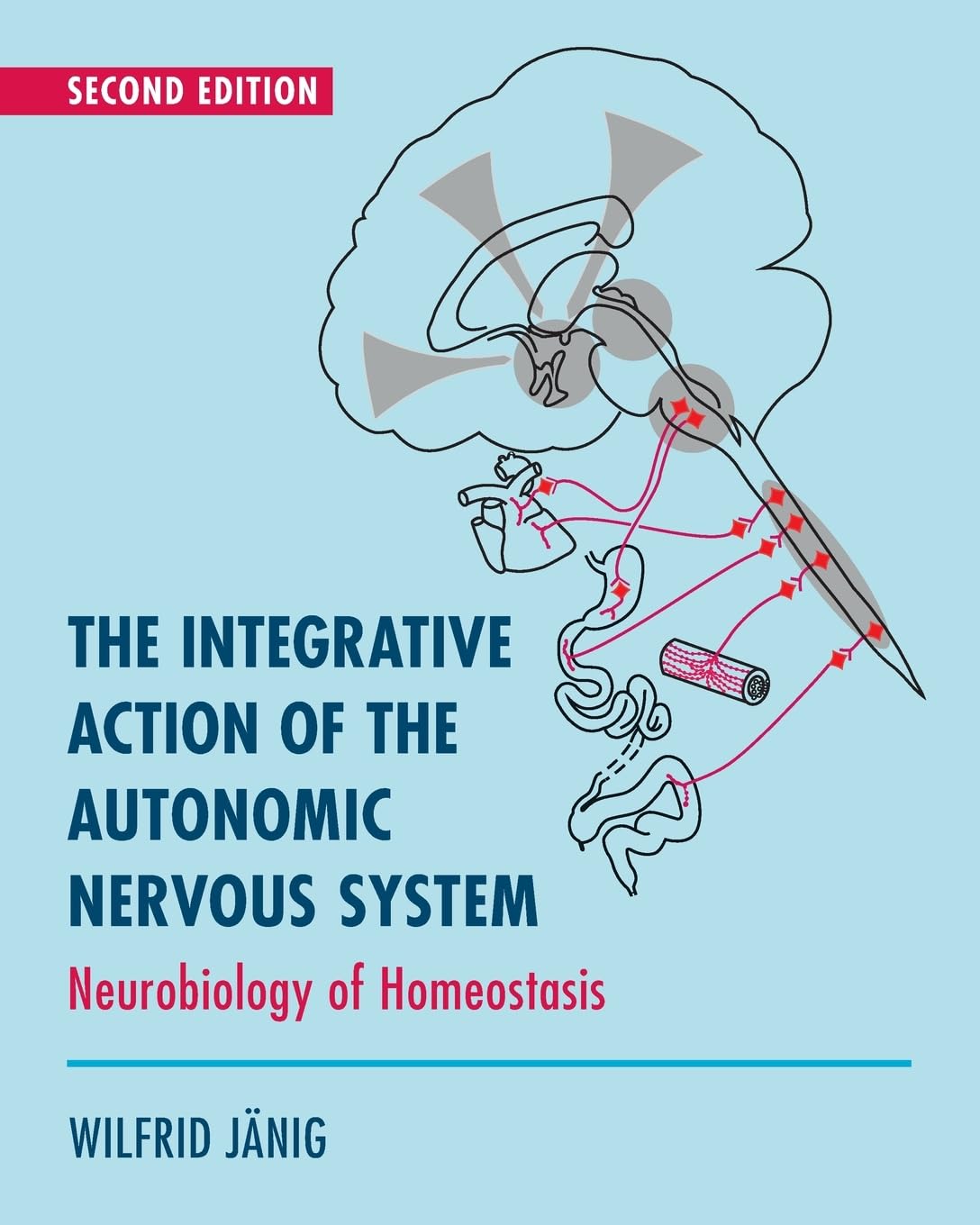 The ANS Reference Text for Dysautonomia — Jänig